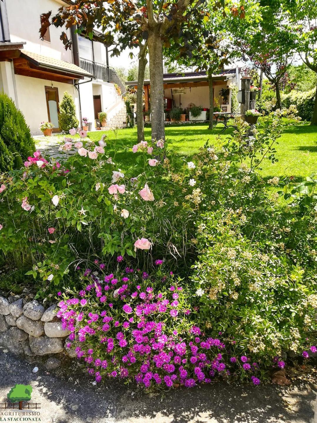 La Staccionata Villa Arpino Exterior photo